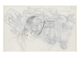 Croquis d'une tête d'homme