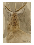 Etude de cerf