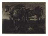 Etude de vaches