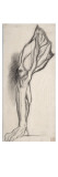 Etude de jambe pour Hercule et l'Hydre de Lerne