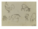 Croquis d'un coq et quatre études de chèvres  plus des pattes