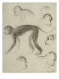 Sept singes