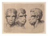 Etudes de trois têtes d'hommes en relation avec le chameau