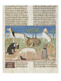 Le Livre de la chasse de Gaston Phébus : l'alan