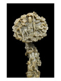Sceptre "ruyi"
