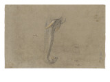 Etude d'une trompe d'éléphant
