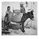 Sousse Marchands de marrons