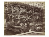 Court Assyrian from nave Crystal Palace dans Hyde Park