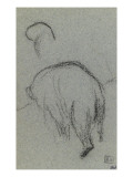 Croquis d'ours  vu de dos et marchant