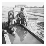 Sétif Une fontaine