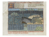 Le Livre de la chasse de Gaston Phébus