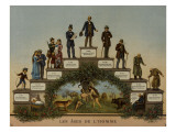 Les Âges de l'Homme