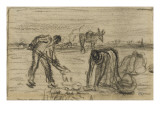 Croquis en rapport avec La rlte des pommes de terre (1854-1857)