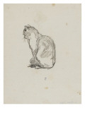 Etude de chat (Villiers)