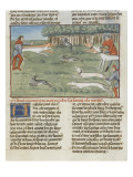 Le Livre de la chasse de Gaston Phébus : les lévriers coursent les lièvres