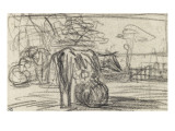 Etude pour "La Laiti normande"