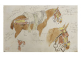 Etude de mule harnachée; 1832