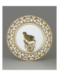 Service aux oiseaux : assiette  la pie grièche du Brésil