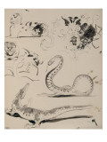 Sheet of Studies: Cat  Crocodile  Snake  Decorative