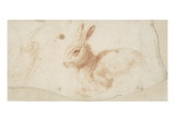 Etude de héron et de lapin