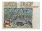 Le Livre de la chasse de Gaston Phébus Archers chassant le sanglier et le cerf