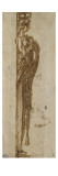 Etude de cariatide