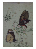 Deux papillons parmi les fleurs