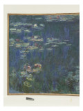 Les Nymphéas : Reflets verts