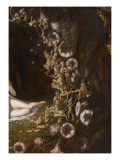 Titania endormie
