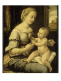 La Vierge à l'Oeillet