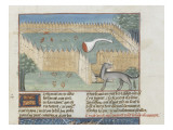 Le Livre de la chasse de Gaston Phébus : piège à loup avec filets et appâts