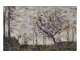 Arbres  hiver