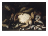 Tortue et poissons