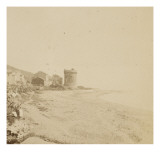 Tour sur une plage  bord de la mer