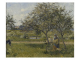La brouette  verger