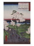 La Sumida et les cerisiers en fleurs