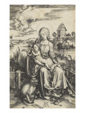 La Vierge à l'Enfant au macaque