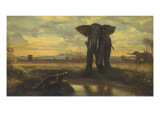 Tigre et Eléphant à la source dit le désert indien