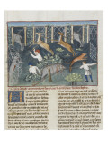 The Book of Gaston Phoebus Hunting: the Various Traps