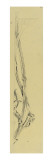 Bahut étagère La Berce des prés : sculpture des ailes de gauche
