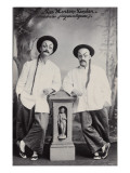 Les Horton Linder (Acrobates flegmatiques)