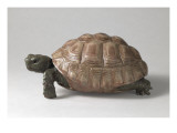 Tortue