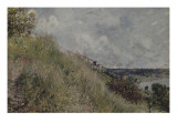 la Seine vue des côteaux de By (Seine et Marne)