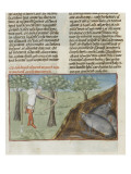 Le Livre de la chasse de Gaston Phébus : où trouver le sanglier