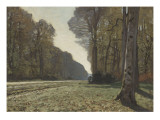 Le Pavé de Chailly (forêt de Fontainebleau)