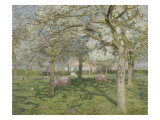 Le verger au printemps