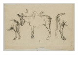 Trois des poiur le Matin (1856)