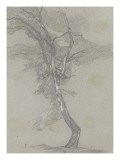 Etude d'arbre