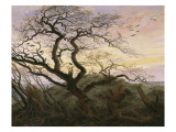L'Arbre aux corbeaux