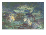 Les Nymphéas : Reflets verts